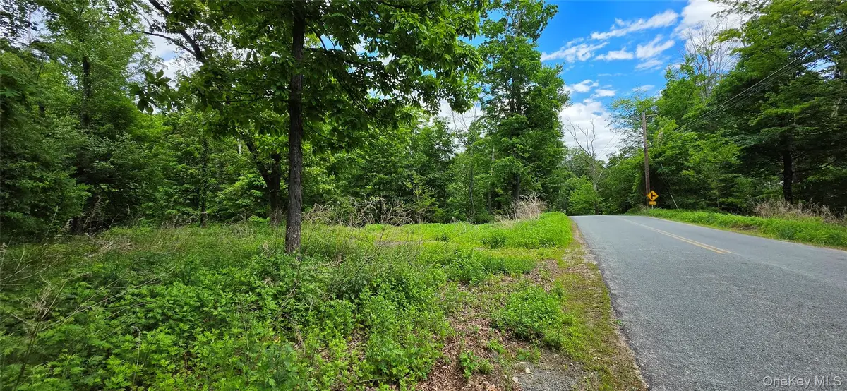 Address Withheld By Seller, Wurtsboro, NY 12790 - #1