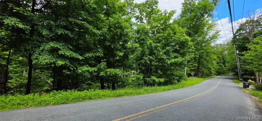 Address Withheld By Seller, Wurtsboro, NY 12790 - #3