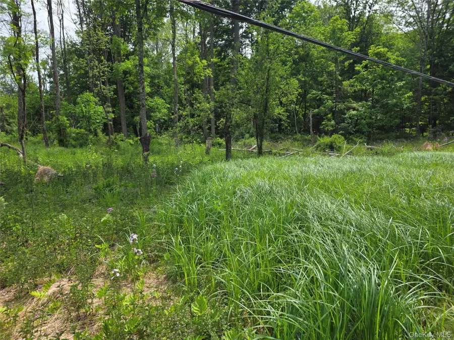 Cr-2 Road, Red Hook, NY 12571 - #3
