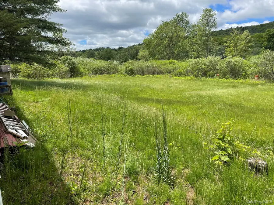 163 Fire House Road, Mamakating, NY 12781 - #2