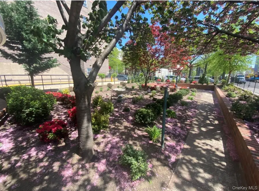 8111 45th Avenue #5C, Elmhurst, NY 11373 - #3