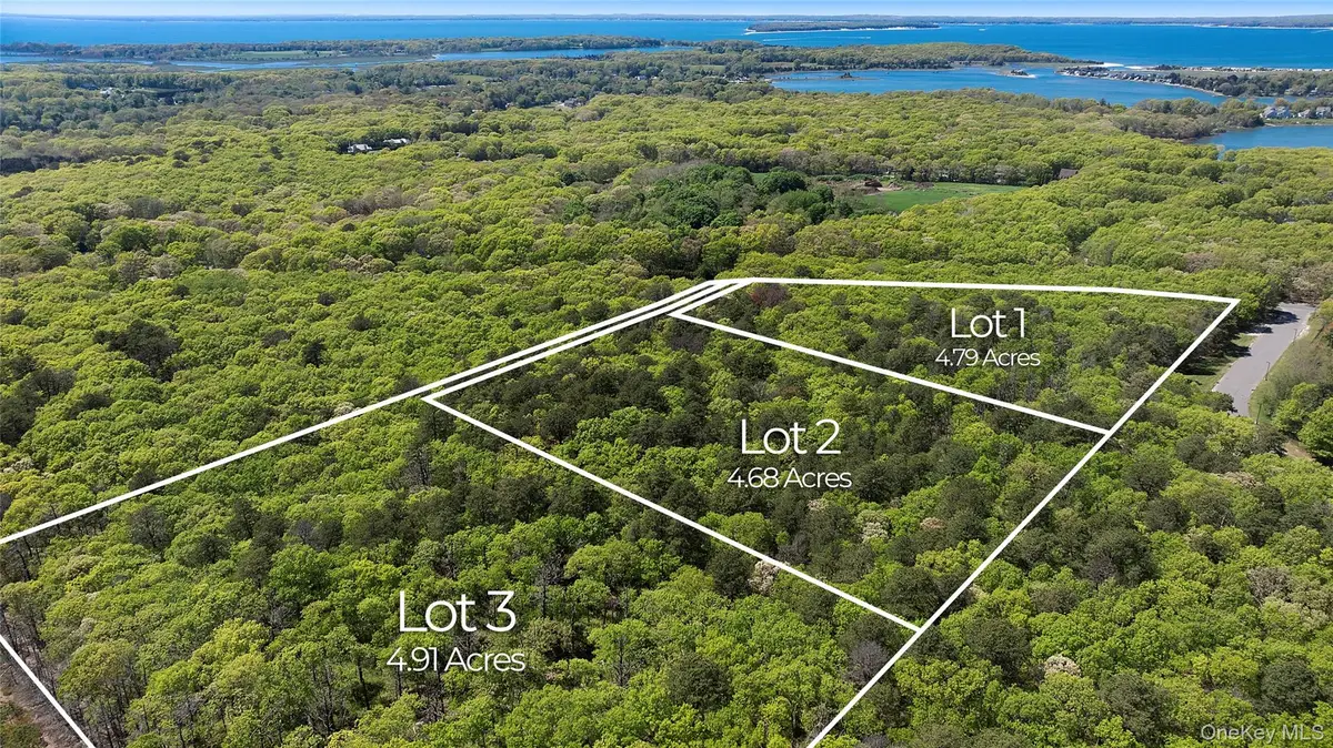 1240 Majors Path, Southampton, NY 11968 - #1