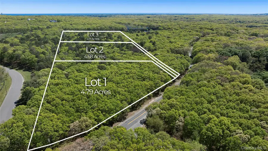 1240 Majors Path, Southampton, NY 11968 - #2