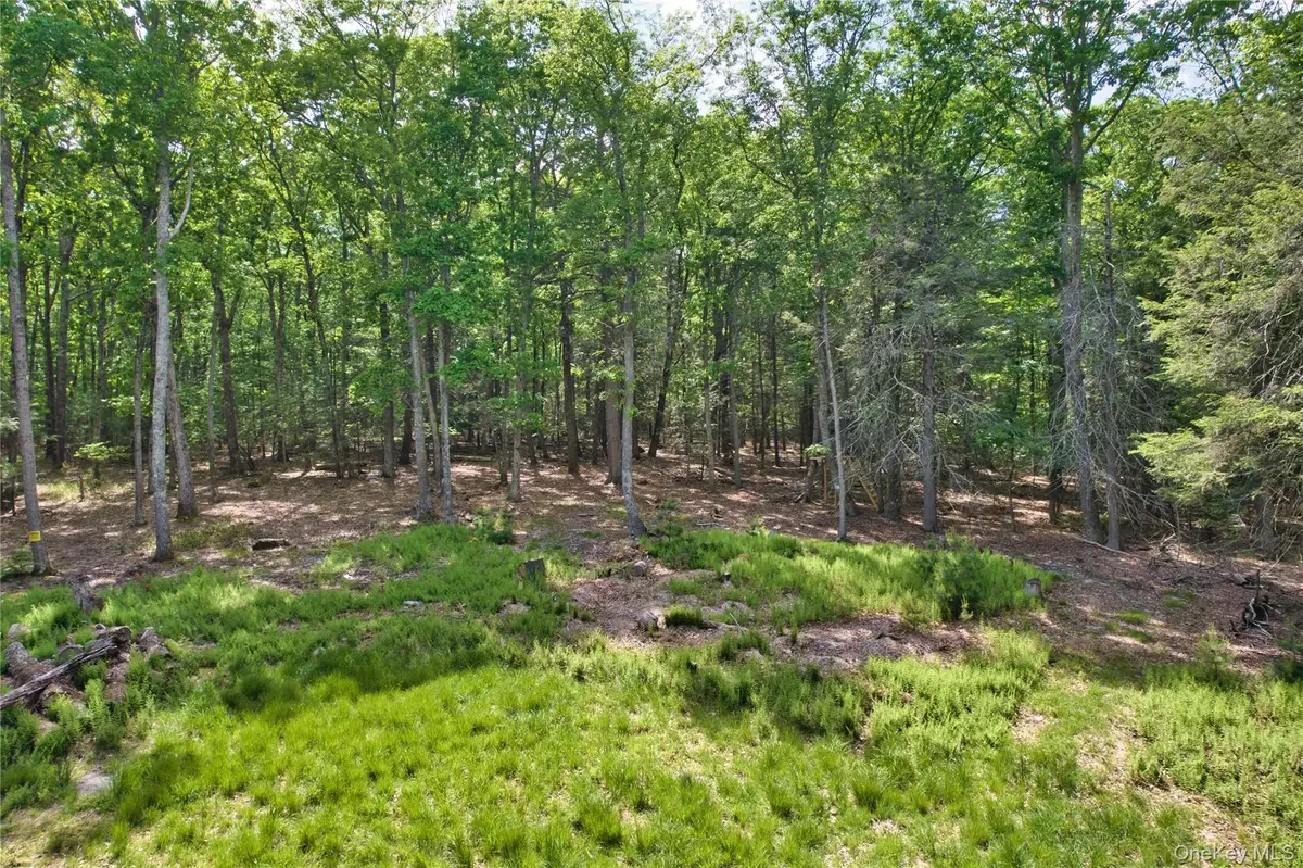 Jersey Road, Wurtsboro, NY 12790 - #1
