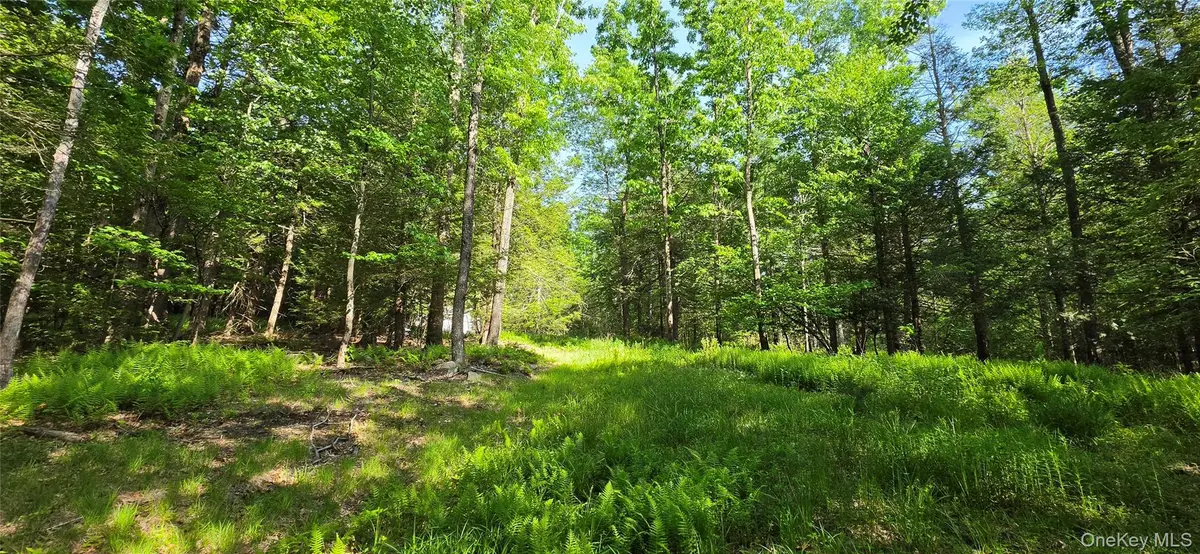 00 Church Aka Pan Am Road, Mountain Dale, NY 12763 - #1