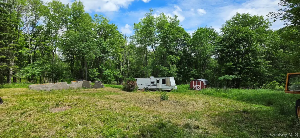 208 Parksville Road, Parksville, NY 12768 - #1
