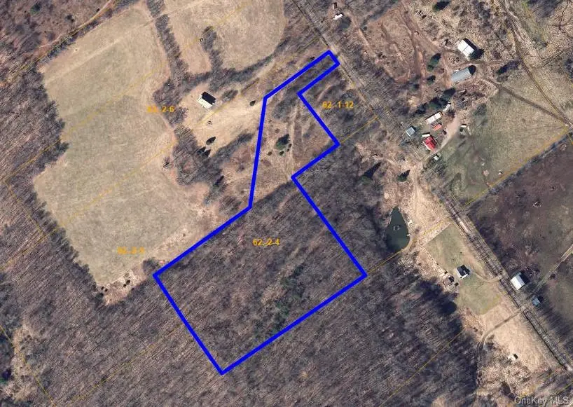 Lot 4 Shaver Hill Road, Meredith, NY 13806 - #2