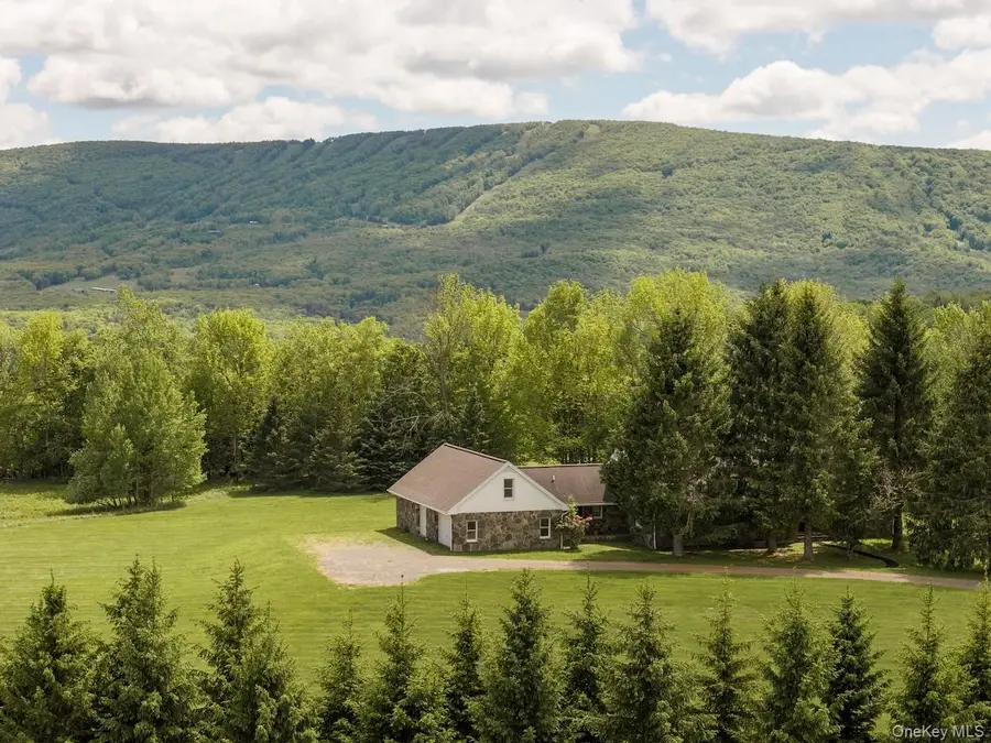 2114 Brush Ridge Road, Fleischmanns, NY 12430 - #2
