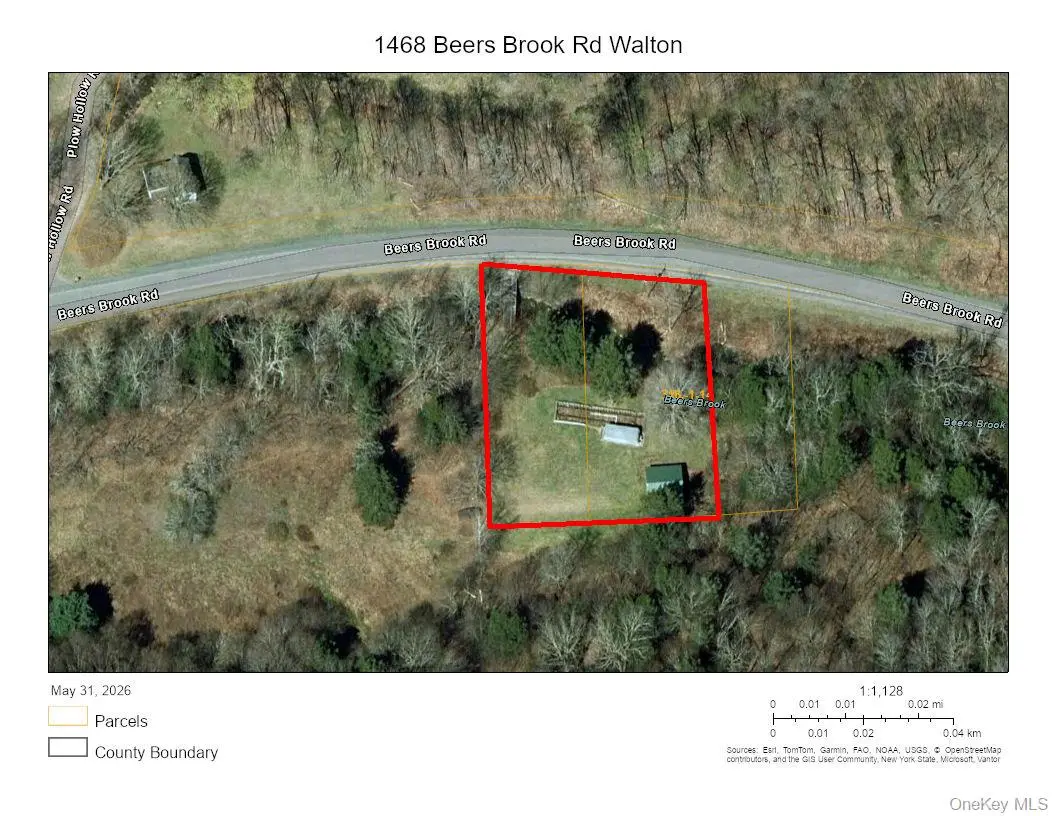 1468 Beers Brook Road, Walton, NY 13856 - #1