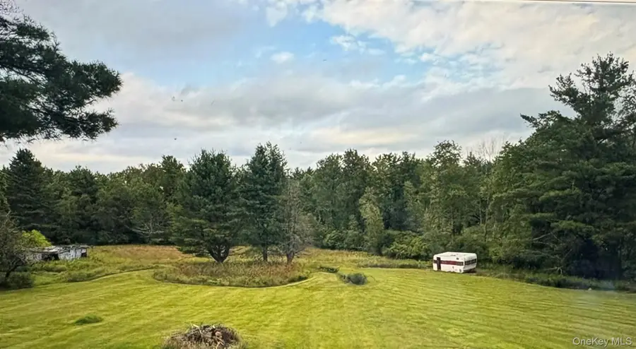 3038 State Route 17b, Cochecton, NY 12726 - #3