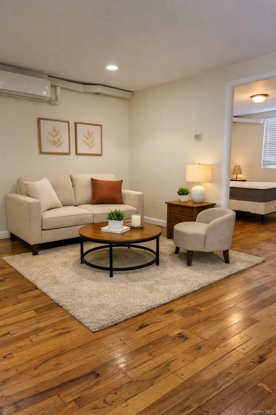 229 Macdougal Street, Brooklyn, NY 11233 - #2