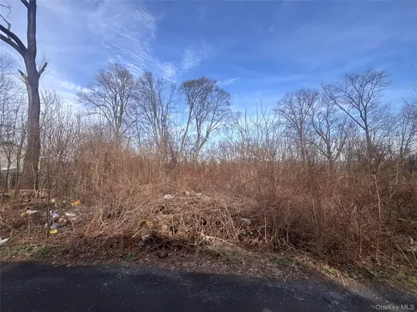 121 Robinson Avenue, Newburgh, NY 12550