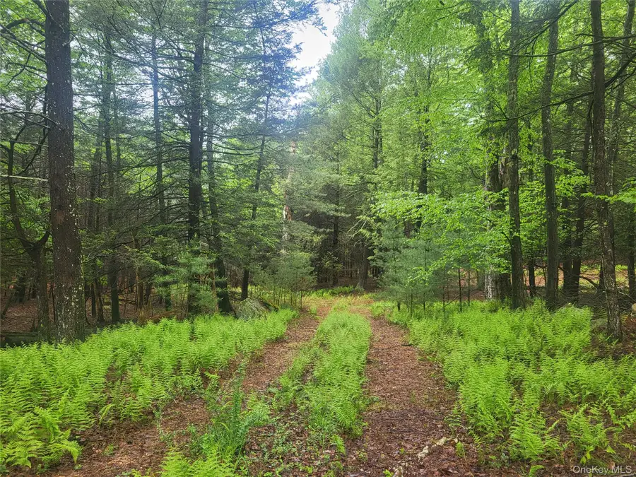 *** Marsh Rd, Glen Wild, NY 12733 - #2