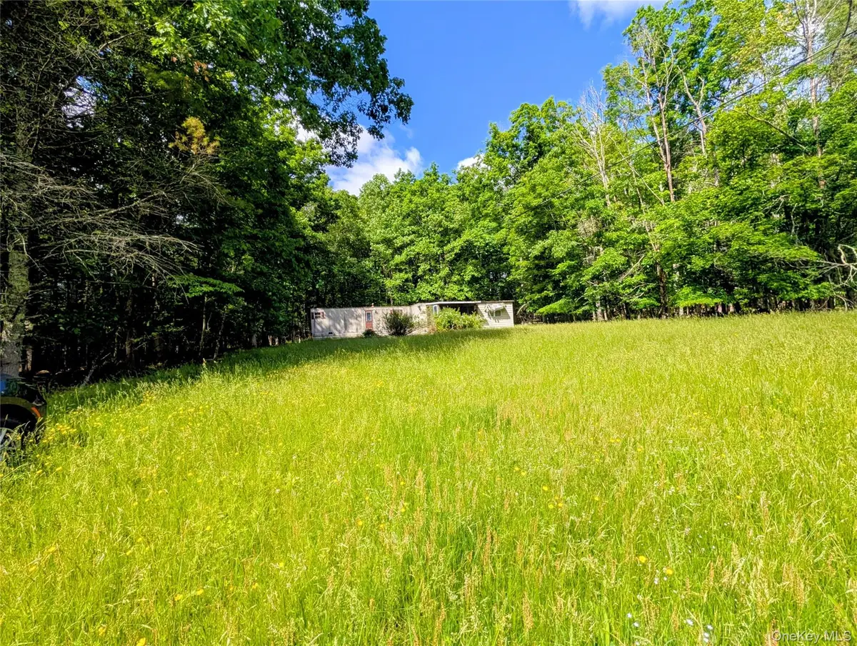 0 State Route 97, Narrowsburg, NY 12764 - #1