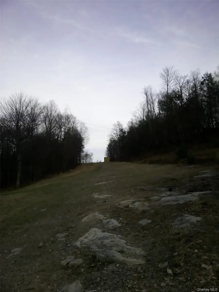 Gibber Road, Kiamesha Lake, NY 12751 - #2