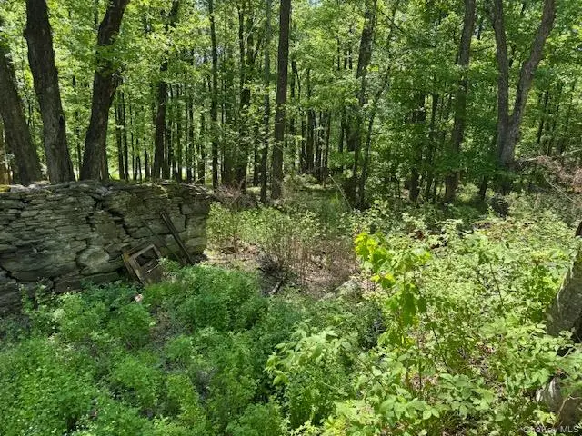 00 Polster, Delaware, NY 12726 - #1
