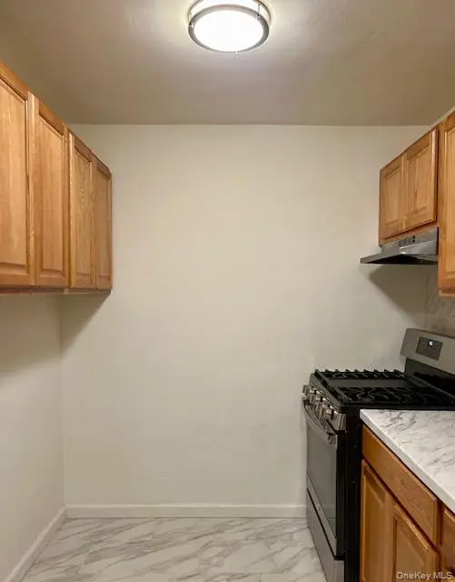 310 Lenox Road #4U, Brooklyn, NY 11226 - #3