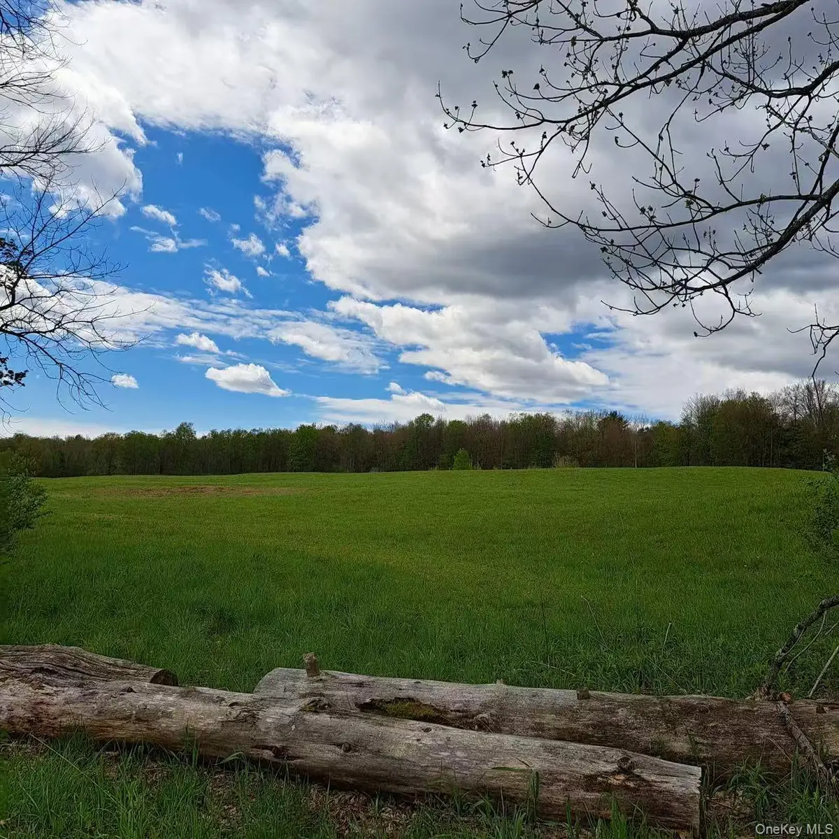 10755 Nys Route 13, Camden, NY 13316 - #1
