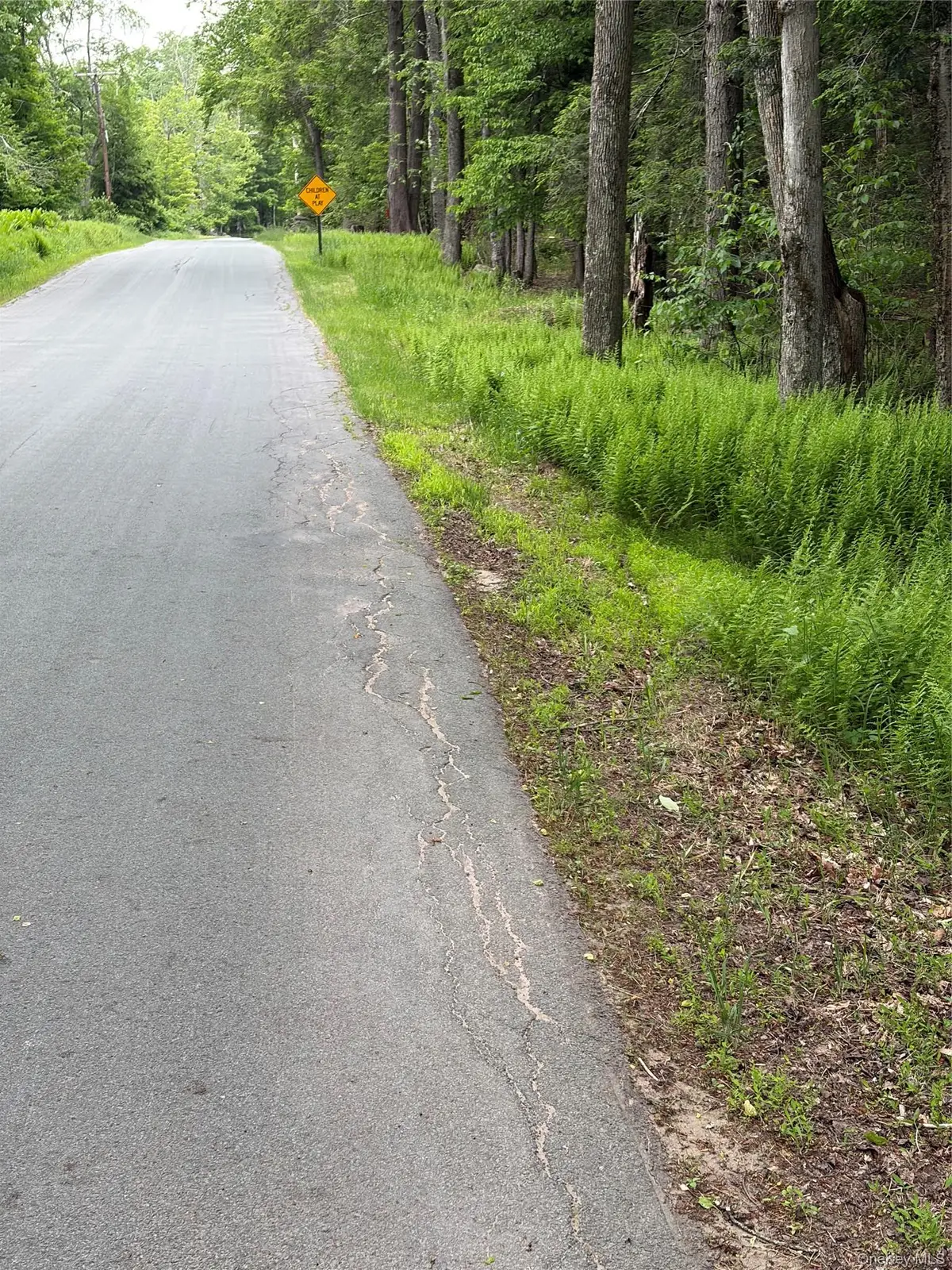 CREAMERY Creamery Road, Mongaup Valley, NY 12701 - #1