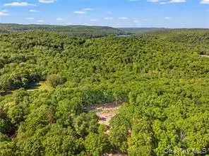S White Rock Road, Holmes, NY 12564 - #1