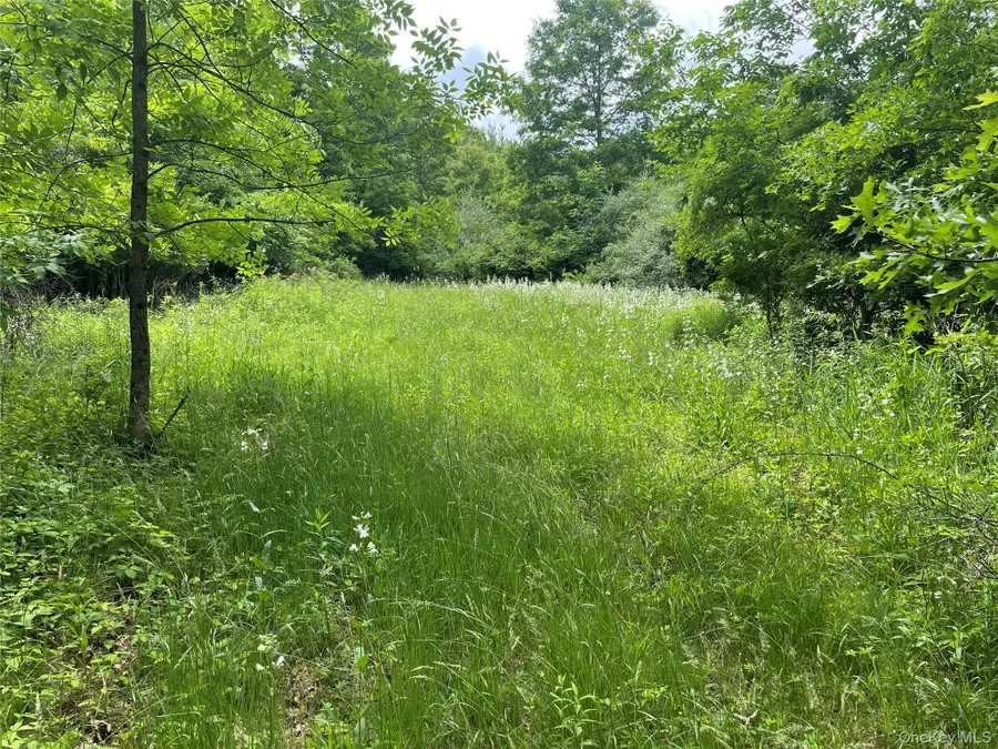 454 County Route 17, Pine Bush, NY 12566 - #3