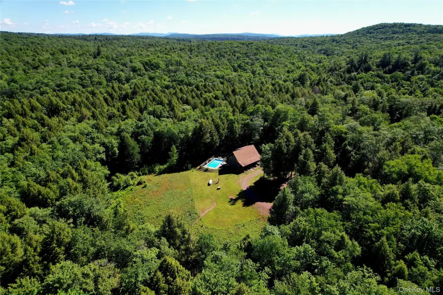 108 Eagles Ridge Way, Parksville, NY 12768 - #2