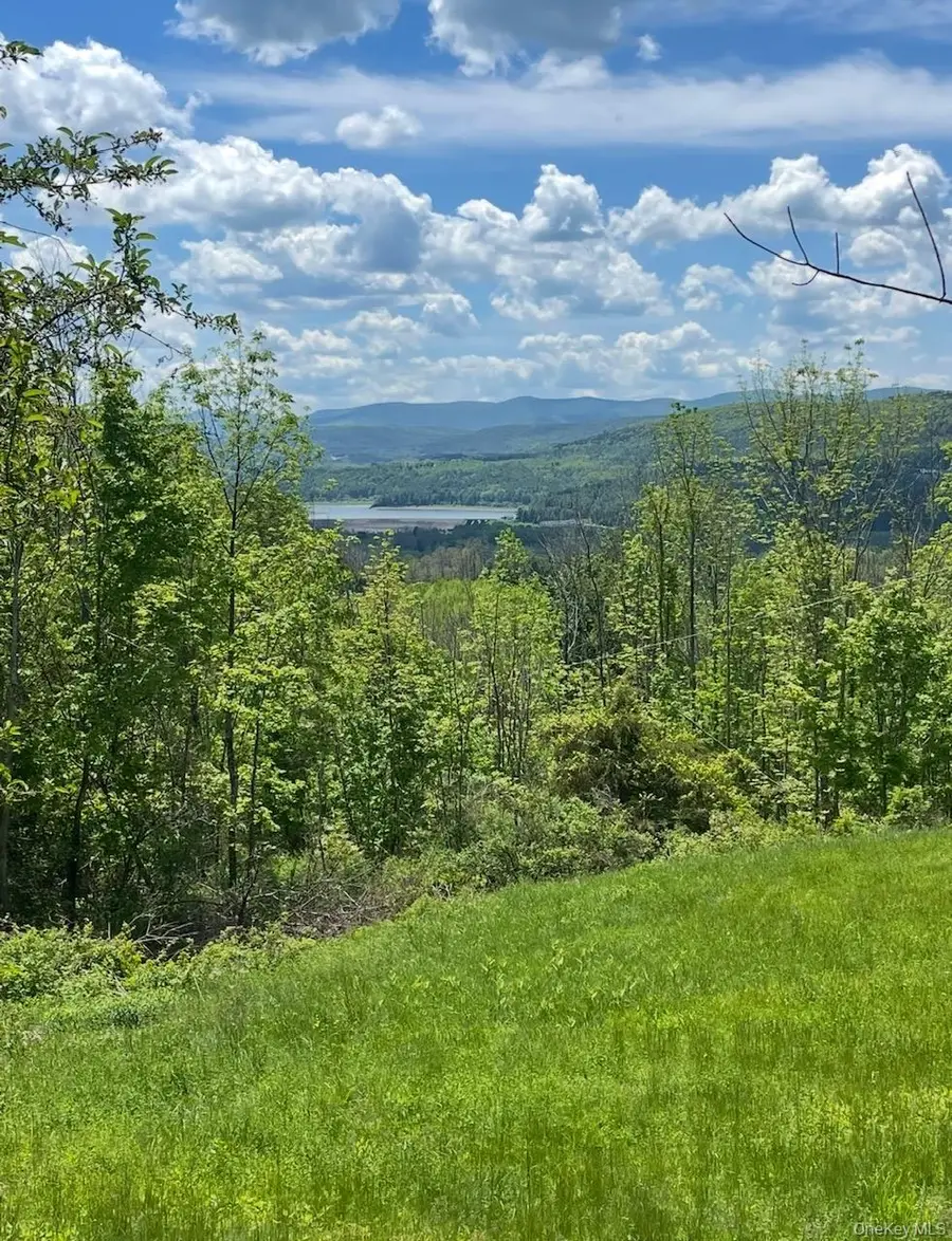 127 Grassy Road, Blenheim, NY 12131 - #3