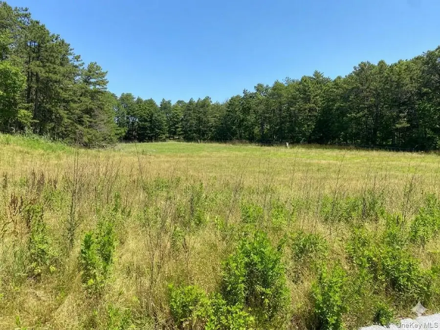 19 Sophia Court, Westhampton, NY 11977 - #2