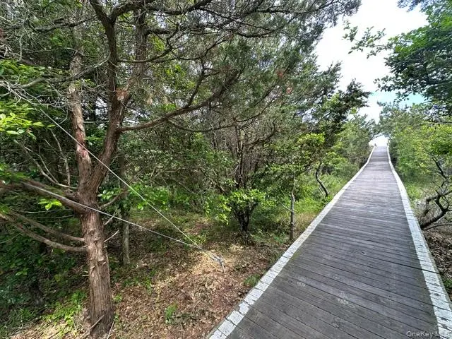 54A Lewis Walk, Fire Island, NY 11782 - #2