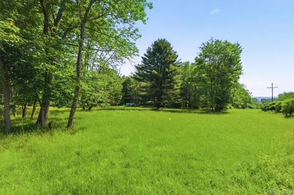 TBD Britman Road, Bethel, NY 12720