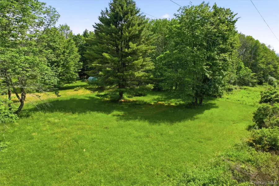 TBD Britman Road, Bethel, NY 12720 - #2