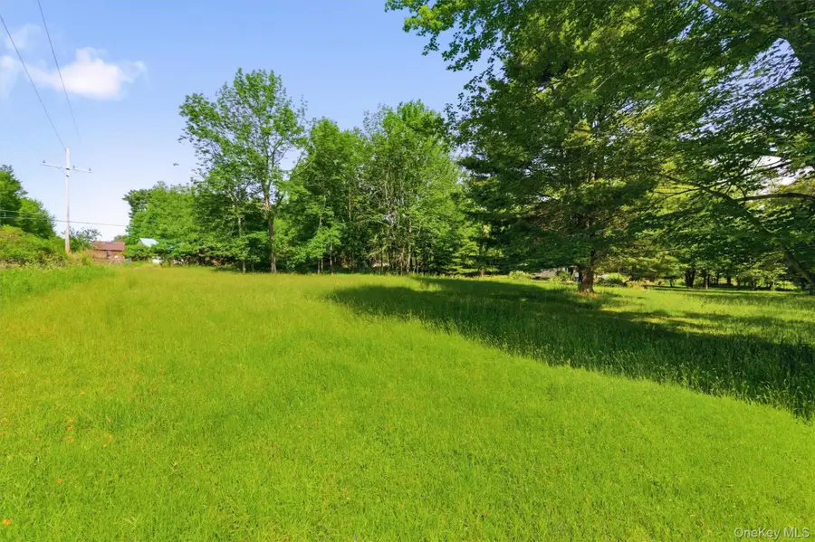 TBD Britman Road, Bethel, NY 12720 - #3