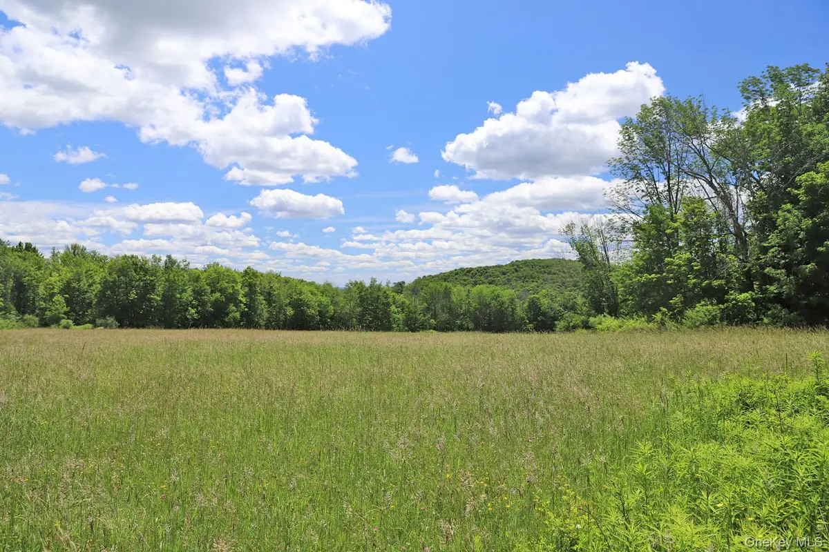 Dietz Road, Callicoon Center, NY 12724 - #1