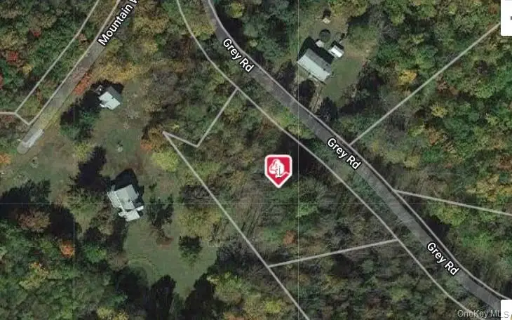 Grey Road, South Fallsburg, NY 12779 - #1