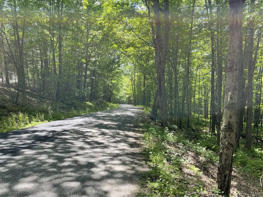 Skip Gray Road, Delancey, NY 13752 - #2