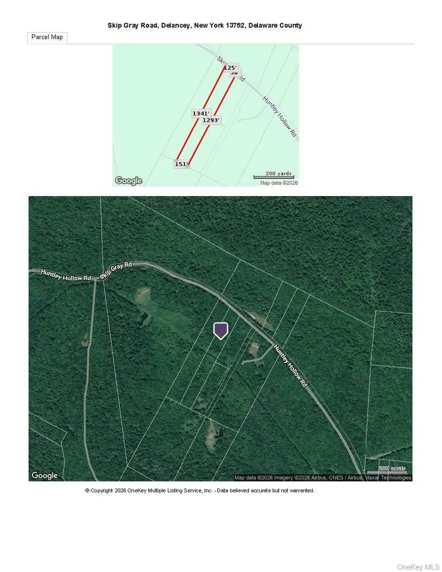 Skip Gray Road, Delancey, NY 13752 - #3