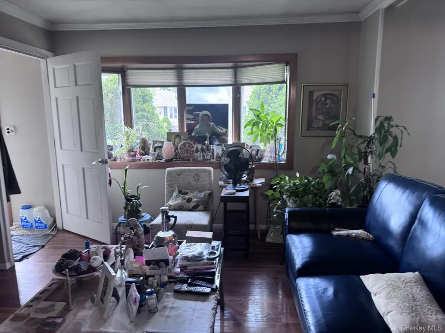 42 Larch Street, Hicksville, NY 11801 - #3