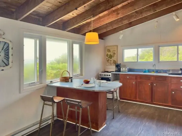 54 Lewis Walk, Fire Island, NY 11782 - #3