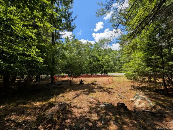 Ballard Road, Bethel, NY 12720