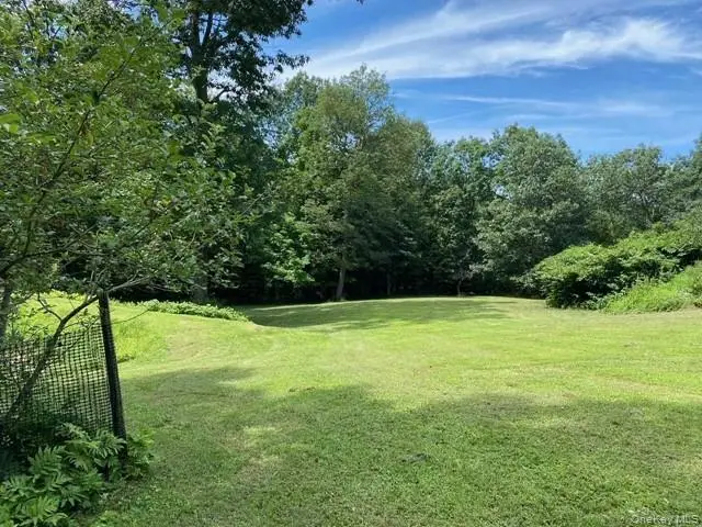 Mile High Road, Elizaville, NY 12523 - #2