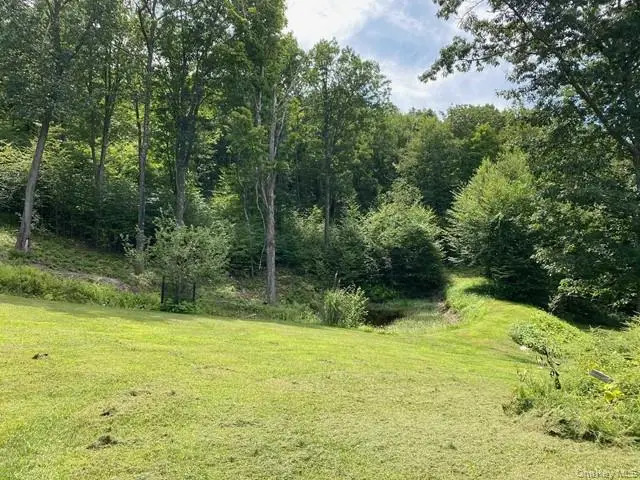 Mile High Road, Elizaville, NY 12523 - #1