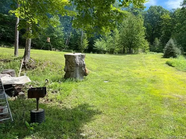 Mile High Road, Elizaville, NY 12523 - #3