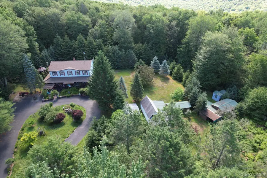 239 Burnt Ridge Road, Liberty, NY 12754 - #3