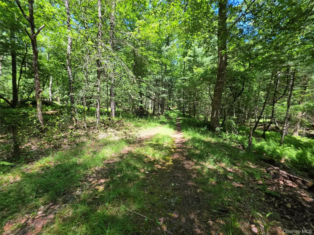 Lot #7 Camp Kenny Brook Road, Monticello, NY 12701 - #1