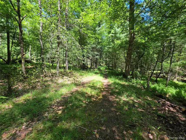 Lot #7 Camp Kenny Brook Road, Monticello, NY 12701