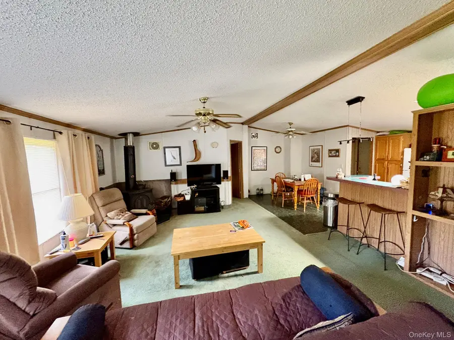 70 Bonnie Brook Road, Roscoe, NY 12776 - #2