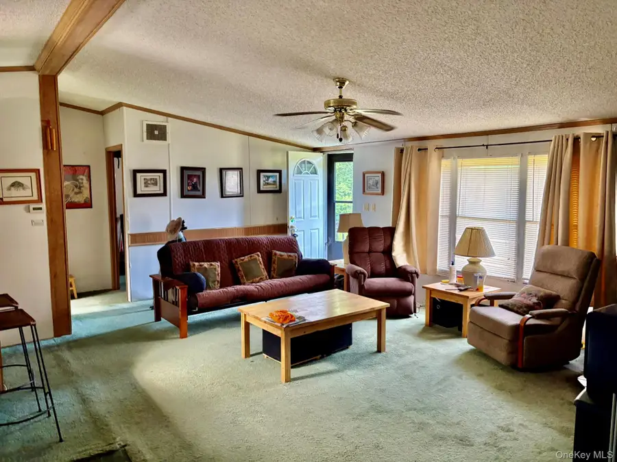 70 Bonnie Brook Road, Roscoe, NY 12776 - #3