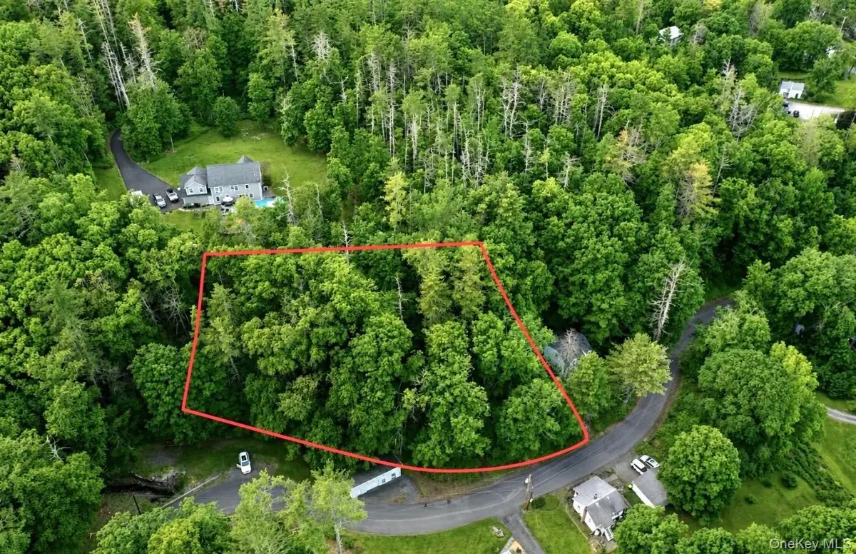 20 Wintergreen Hill Road, Kingston, NY 12401 - #1