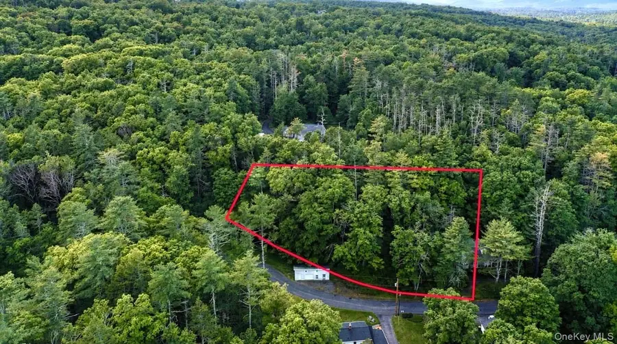 20 Wintergreen Hill Road, Kingston, NY 12401 - #3