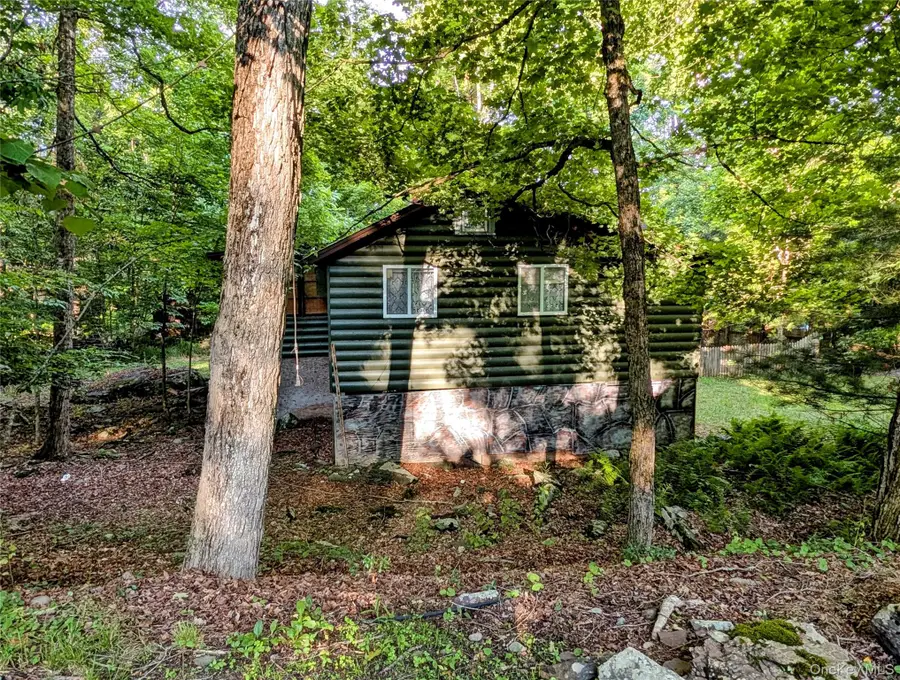 55 E Reindeer Trail, Smallwood, NY 12720 - #2